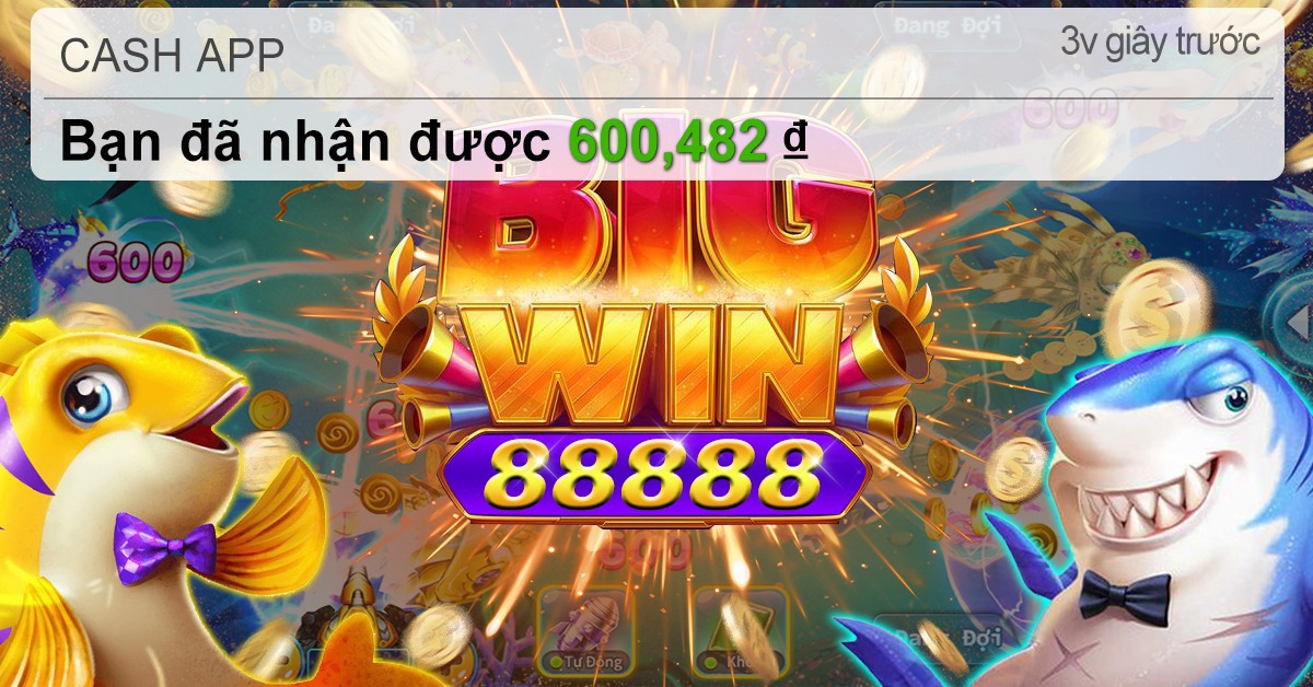 95win
